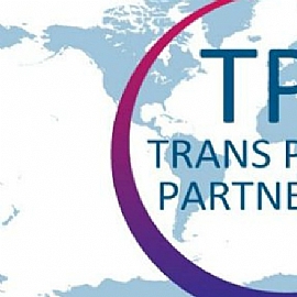 TPP[Ƹ 113ñpsw